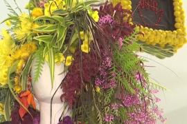 Манекены в магазинах Нью-Йорка одели в живые цветы