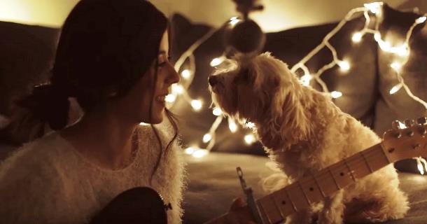 Видео рождественской песни с участием собаки посмотрели более 4 млн раз