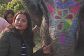 Конкурс красоты среди слонов прошёл в Непале