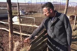Фермер в Косове спасает раненых диких зверей