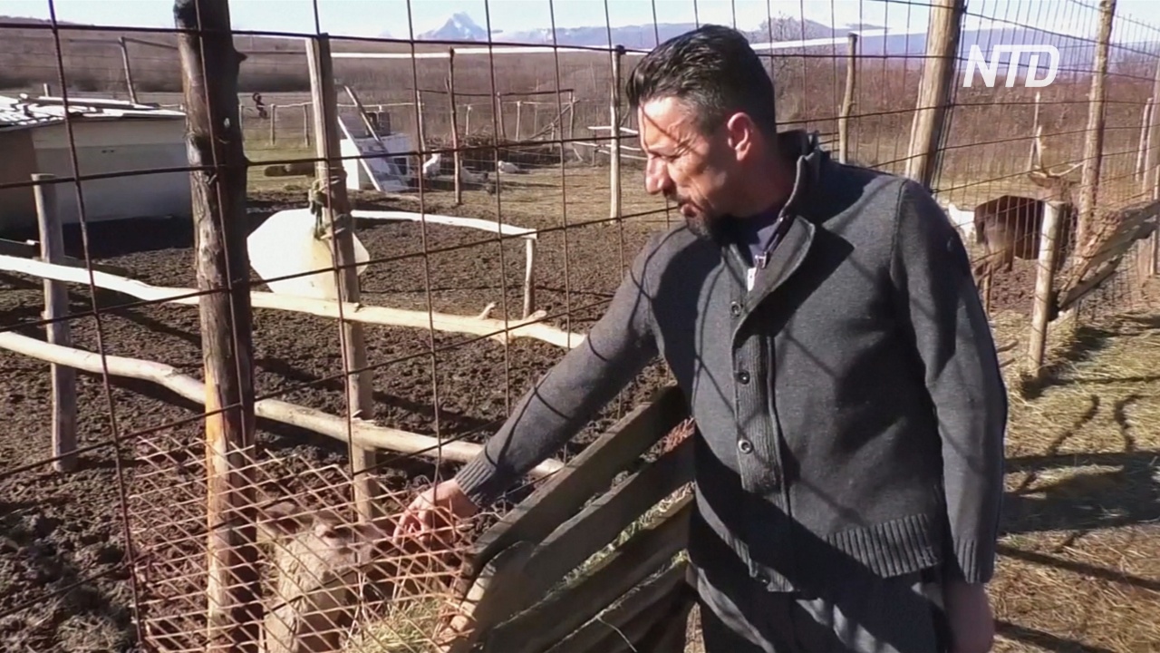 Фермер в Косове спасает раненых диких зверей