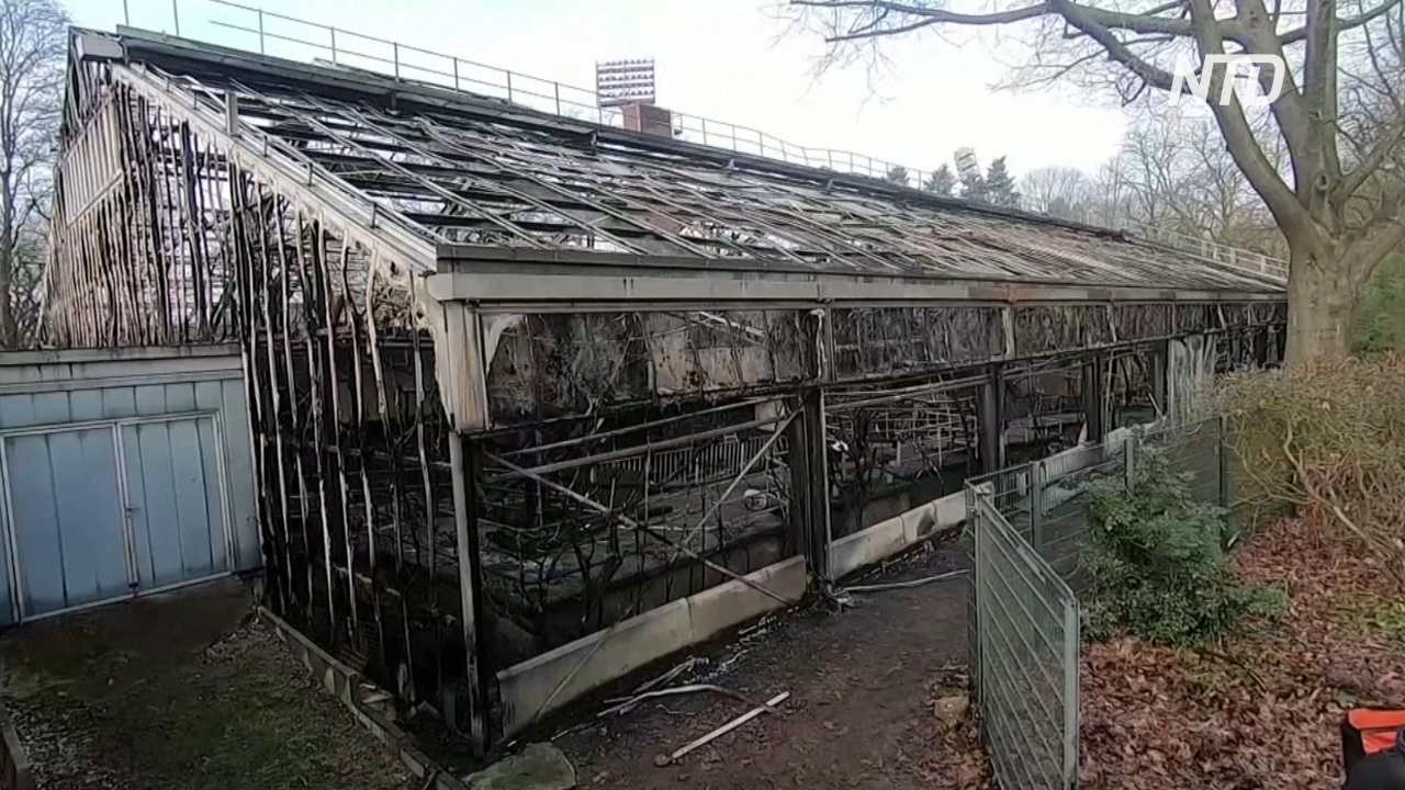 Пожар в немецком зоопарке: погибли более 30 животных