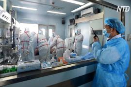 Новый тип китайского коронавируса, возможно, передаётся от человека к человеку