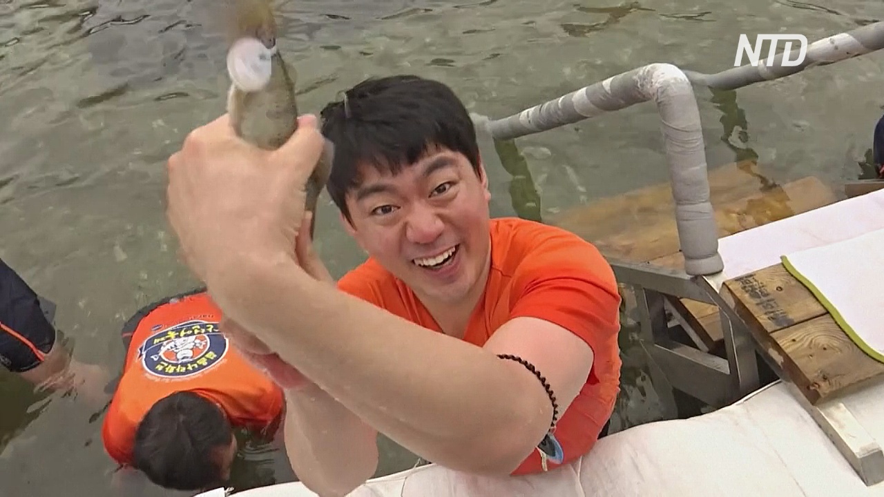 Как на фестивале в Южной Корее рыбу ловили голыми руками