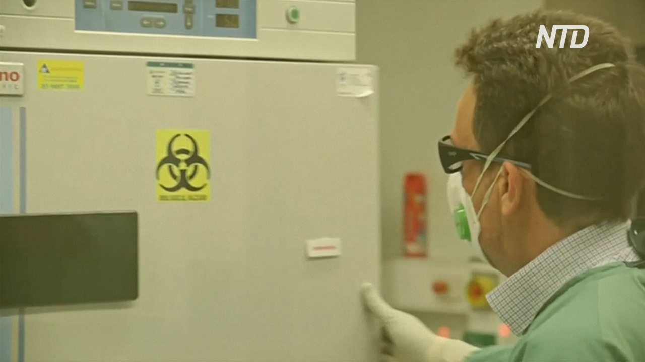 Австралийские учёные воссоздали китайский коронавирус