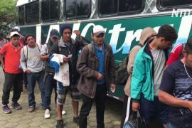 Мексика выдворила тысячи нелегальных мигрантов в Гондурас
