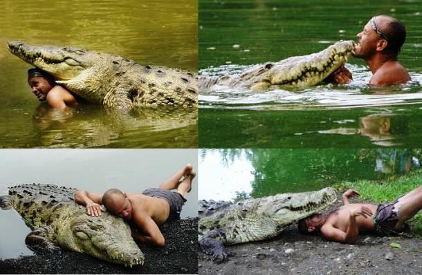 Крокодил, которого считали монстром, дружил с мужчиной 20 лет
