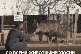 «Маугли из Косова» помогает раненным диким зверям