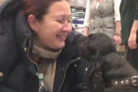 Собаки-терапевты поднимают настроение пассажирам в Домодедово