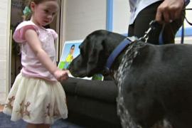 Дошкольников Австралии учат, как не быть укушенными собаками