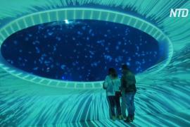 10 000 медуз плавают в аквариумах на крыше торгового центра в Праге