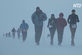 World Marathon Challenge: спортсмены пробежали среди снегов Антарктиды