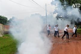 В Парагвае из-за лихорадки денге обрабатывают инсектицидами школы
