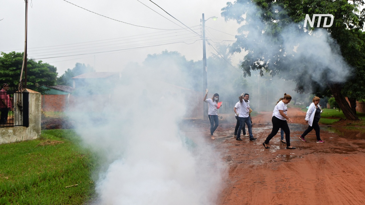 В Парагвае из-за лихорадки денге обрабатывают инсектицидами школы