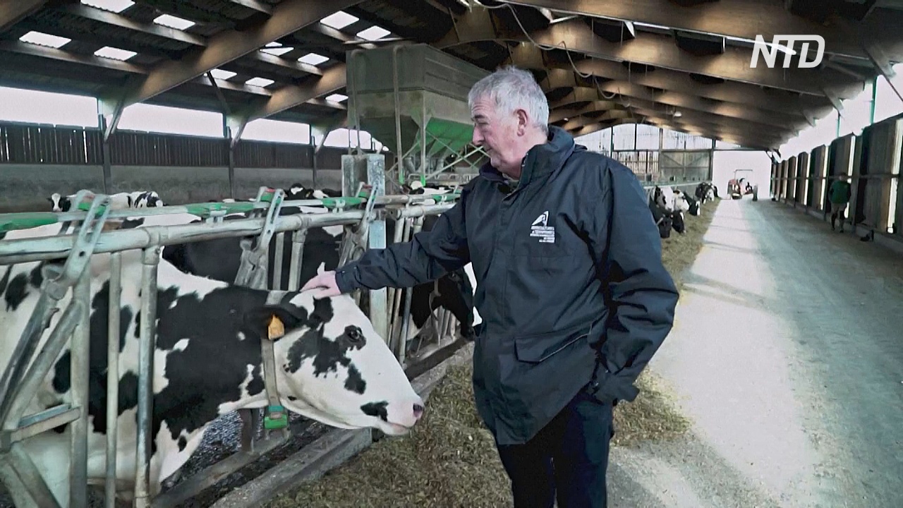 Французские фермеры боятся сокращения субсидий после «брексита»