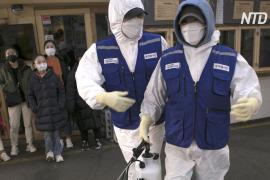Южная Корея сообщила о 15 новых случаях коронавируса