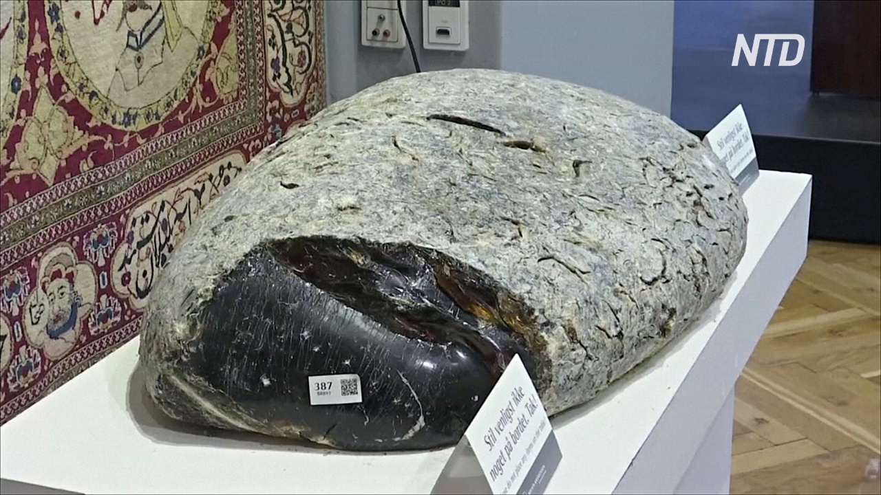 В Дании на аукционе продали огромный копал весом 38,5 кг