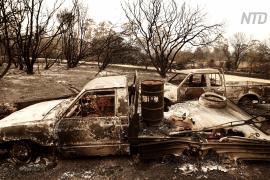 Австралийцы возращаются на пепелище, чтобы оценить ущерб
