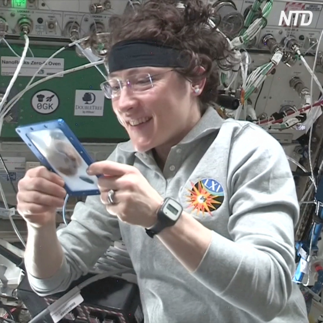 Первое космическое печенье выпекали на МКС два часа