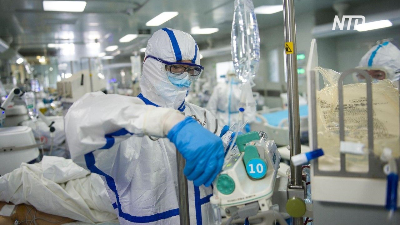 В Китае двум пациентам с коронавирусом пересадили лёгкие