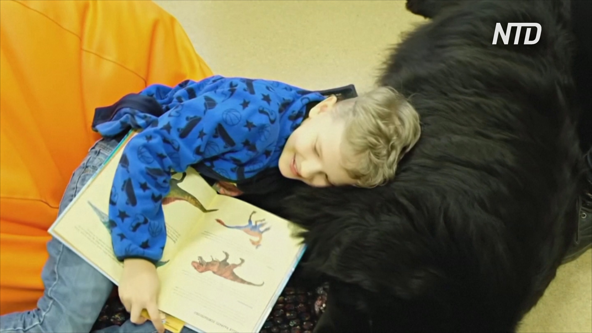 Собаки и крысы помогают эстонским детям учиться читать вслух