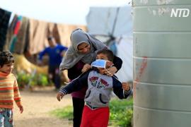 Сирийские беженцы в Ливане не могут защититься от коронавируса