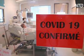 В мире за сутки выявили более 63 тысяч новых случаев COVID-19