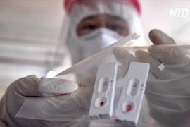 Испания вернёт Китаю бракованные тесты на коронавирус