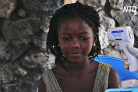 В ДР Конго две недели нет новых случаев заболевания Эболой