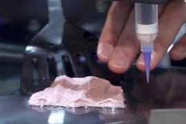 Растительное «мясо» с волокнами печатают на 3D-принтере