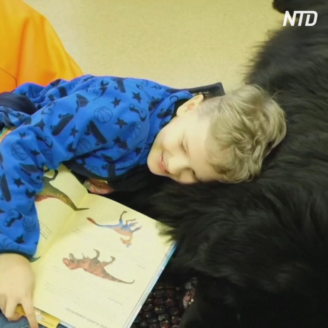 Эстонские дети учатся читать вслух в обществе собак и крыс