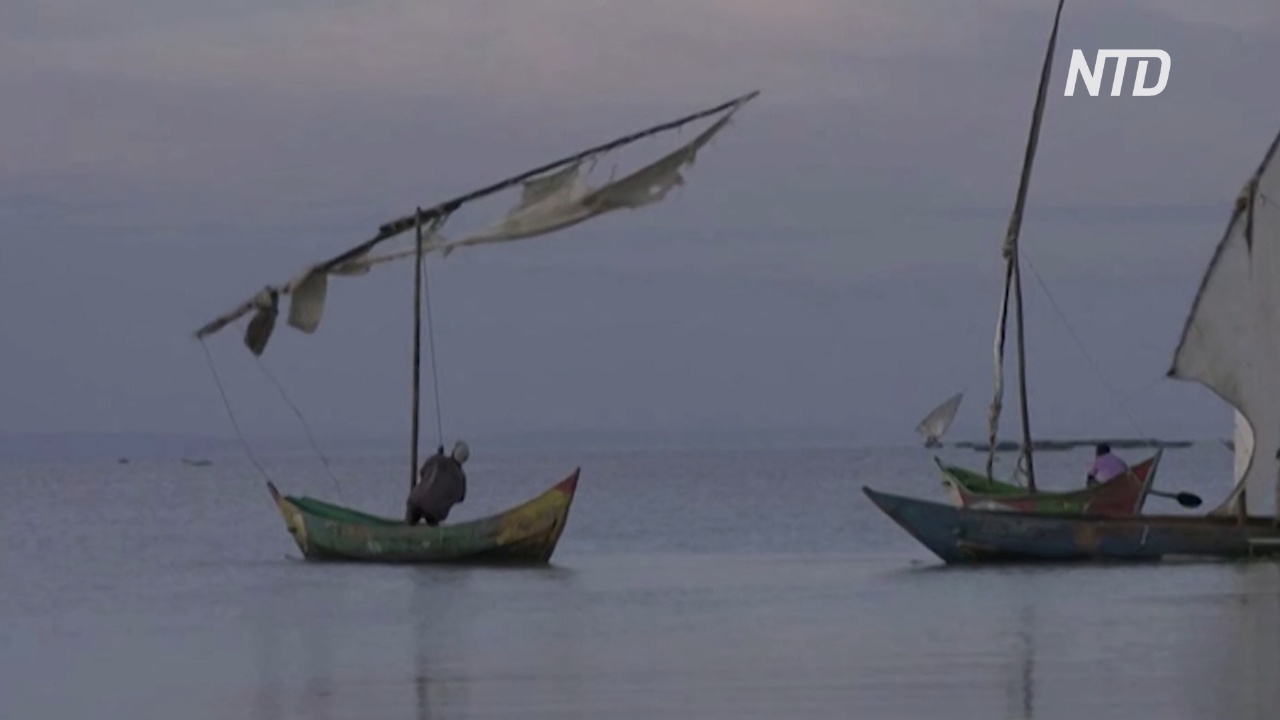 Рыболовство в Кении снова на подъёме из-за коронавируса