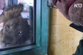 Что происходит в Лондонском зоопарке во время карантина