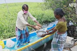 Индийский лодочник возит еду на острова, отрезанные от мира из-за карантина