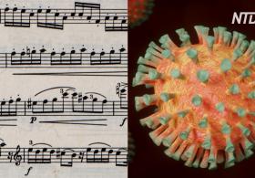 Как музыка поможет противостоять новому коронавирусу