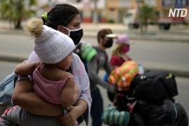 Венесуэльские мигранты бегут из Эквадора на родину и в другие страны региона