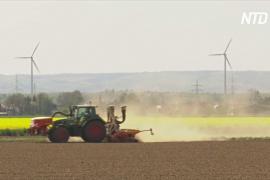 Засуха угрожает сельскому хозяйству Германии