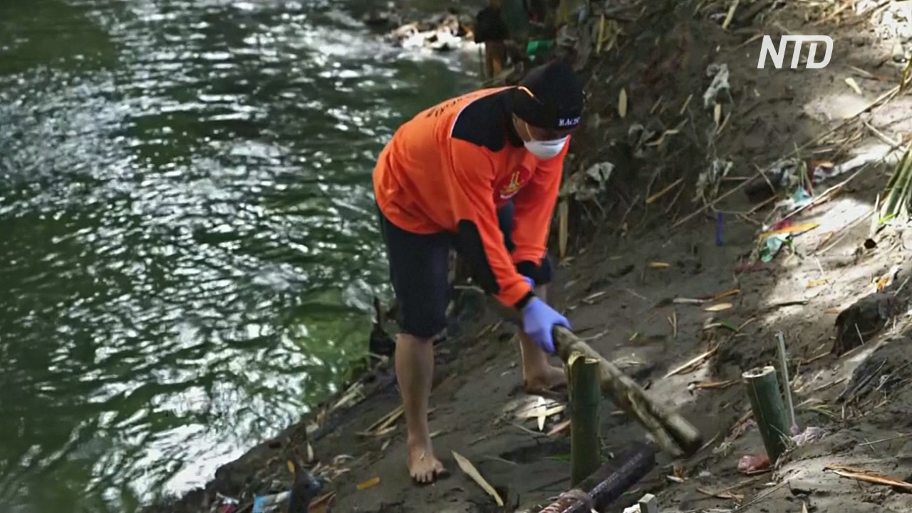 Индонезиец живёт в самоизоляции в лесу и очищает реку