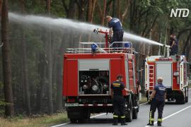 Нет дождей: в Германии начались лесные пожары