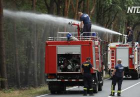 Нет дождей: в Германии начались лесные пожары