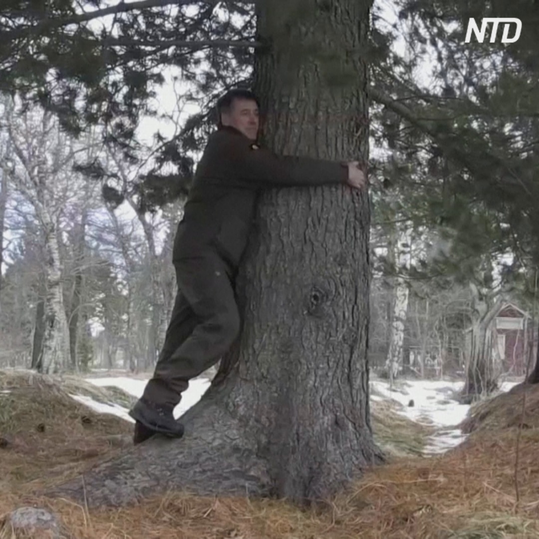 Исландцы обнимают деревья, чтобы не унывать на карантине