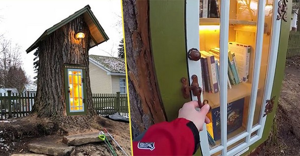 Женщина превратила 110-летнее дерево в мини-библиотеку