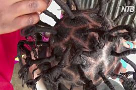 Парикмахерская в Кении делает причёски в форме коронавируса