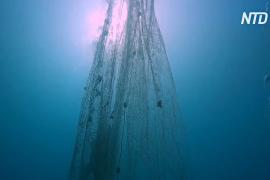 Египетские дайверы очищают море от «сетей-призраков»