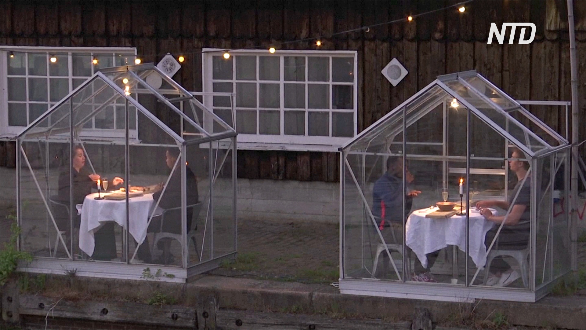 В Амстердаме придумали, как романтично поужинать в условиях пандемии