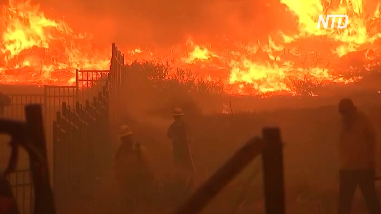 Калифорния готовится лучше противостоять лесным пожарам, хотя бюджет пошатнулся