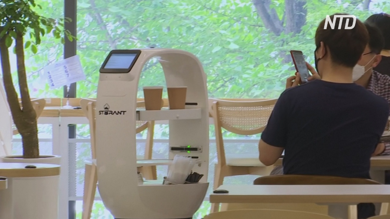 В южнокорейском кафе роботы заменили обслуживающий персонал