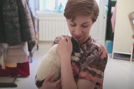 Московские приюты находят хозяев кошкам и собакам на онлайн-выставках