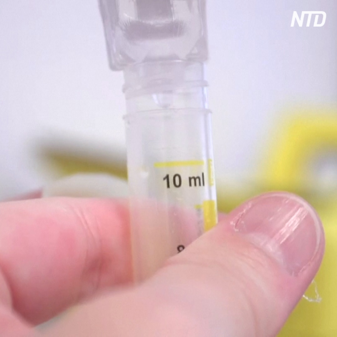 Первый массовый тест-ДНК на коронавирус: 1500 образцов за раз