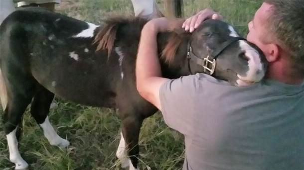 Как спасённый от убоя пони обнимает нового хозяина. Трогательное видео